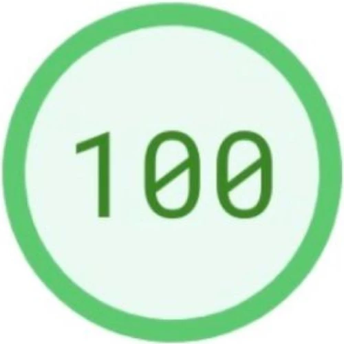100 punków w testach Pagespeed